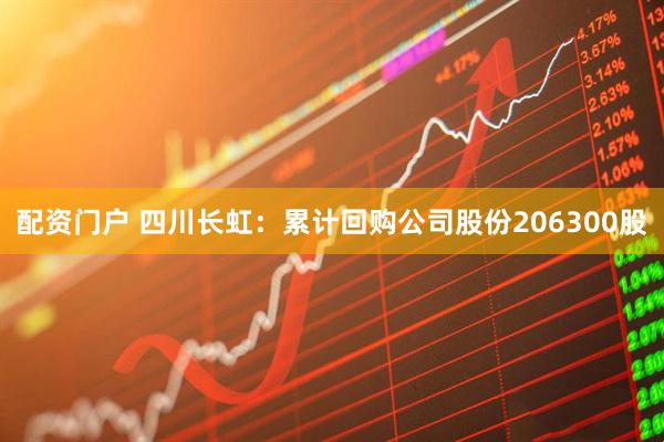 配资门户 四川长虹：累计回购公司股份206300股
