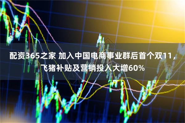 配资365之家 加入中国电商事业群后首个双11，飞猪补贴及营销投入大增60%